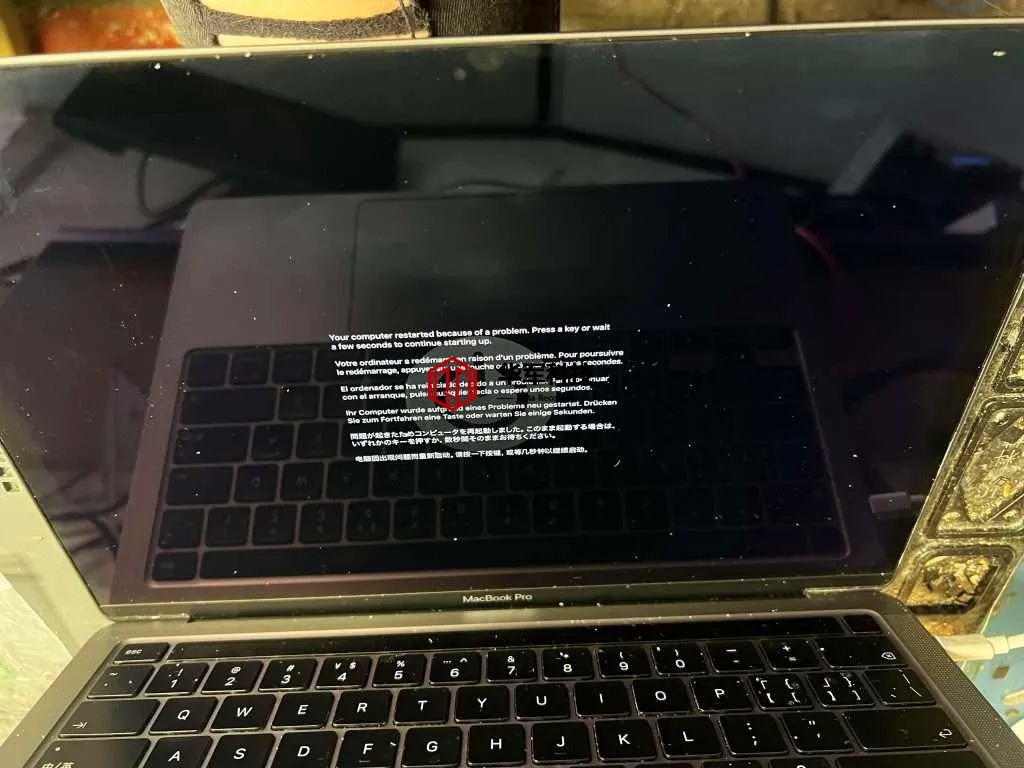 20240907143251_1 20240907143251_1